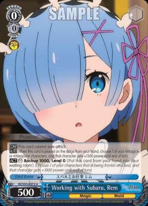 Working with Subaru, Rem