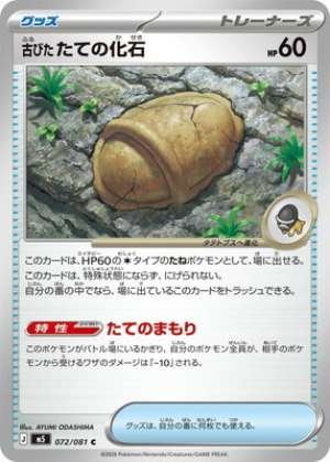 Antique Armor Fossil