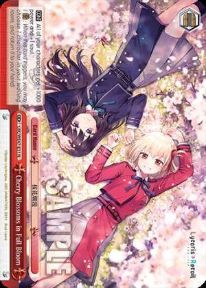 Cherry Blossoms in Full Bloom