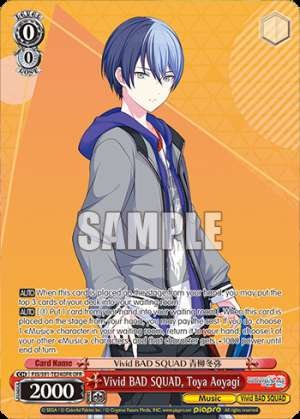 Vivid BAD SQUAD, Toya Aoyagi