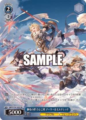 Lion Dragon's Bond: Chick Squad Arthur & Mordred