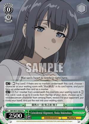 Coincidental Alignment, Shoko Makinohara