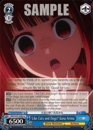 Like Cats and Dogs? Kana Arima