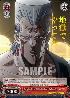 Carrying Their Will in His Heart, Polnareff
