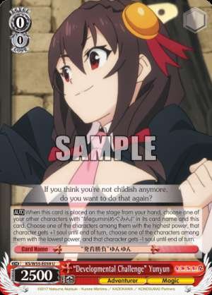 "Developmental Challenge" Yunyun