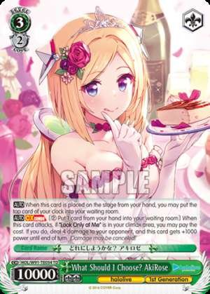 What Should I Choose? AkiRose
