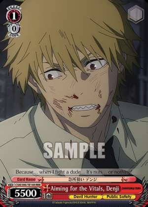 Aiming for the Vitals, Denji