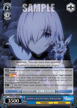 Qualified to Know Her Origins, Mash Kyrielight