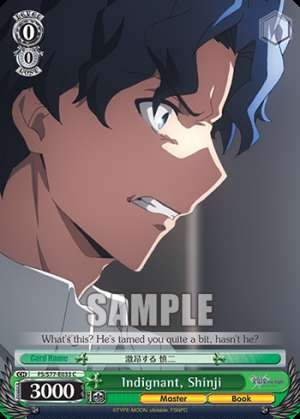 Indignant, Shinji