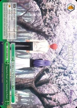 "Important Person" and "Something to Protect"