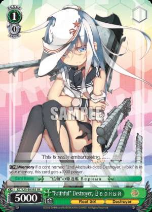 "Faithful" Destroyer, Верный