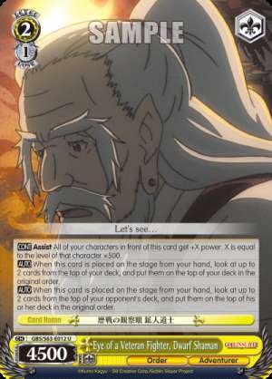 Eye of a Veteran Fighter, Dwarf Shaman
