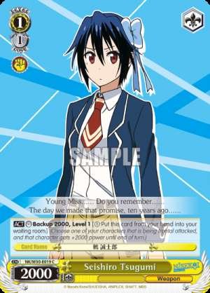 Seishiro Tsugumi