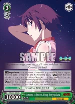Someone to Protect, Hitagi Senjyogahara