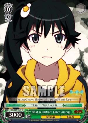 “What is Justice” Karen Araragi