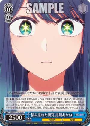Years of Accumulated Research: Akane Kurokawa