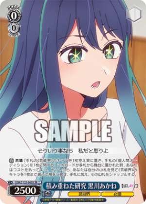 Years of Accumulated Research: Akane Kurokawa