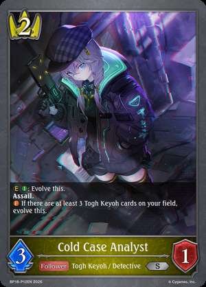 Cold Case Analyst
