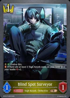 Blind Spot Surveyor