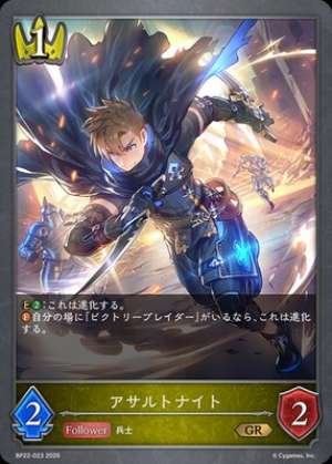 Assault Knight