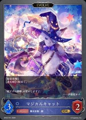 Magical Cat (EVOLVE)