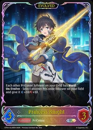 Princess Knight