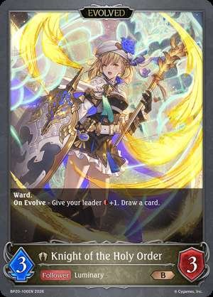 Knight of the Holy Order